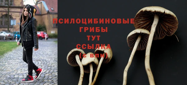 экстази Алексеевка