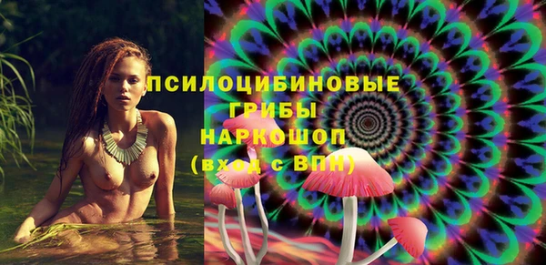 гидра Красноперекопск