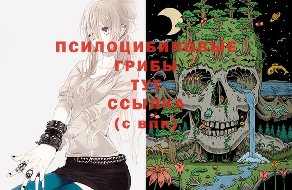 экстази Алексеевка
