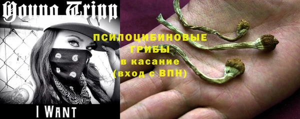 jwh Алзамай